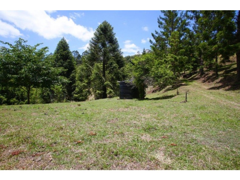 624 Tuntable Creek Road, The Channon NSW 2480