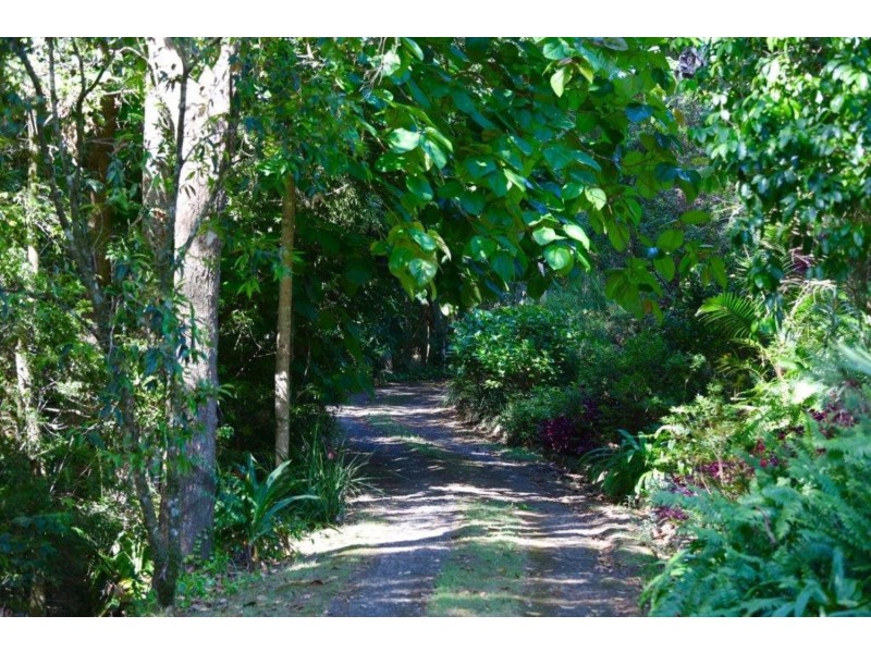 624 Tuntable Creek Road, The Channon NSW 2480