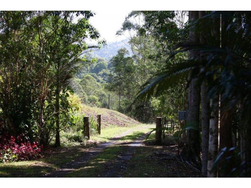 624 Tuntable Creek Road, The Channon NSW 2480