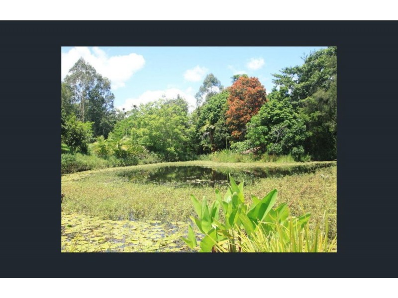 Nimbin NSW 2480