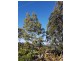 9 Kelsie Street, Goonellabah NSW 2480