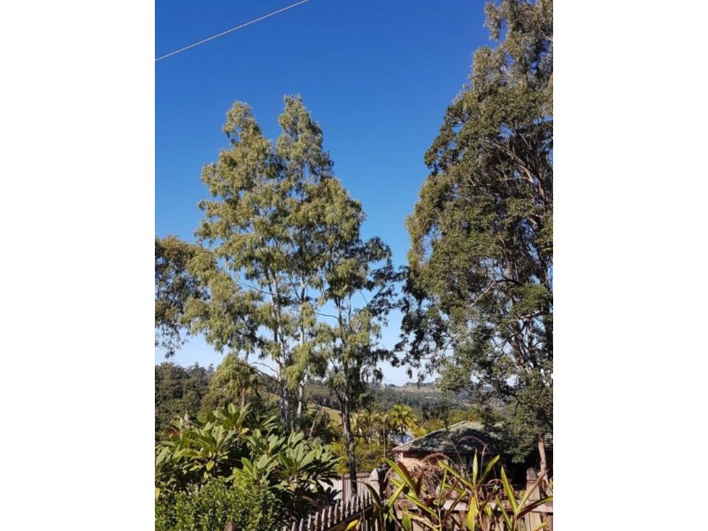 9 Kelsie Street, Goonellabah NSW 2480