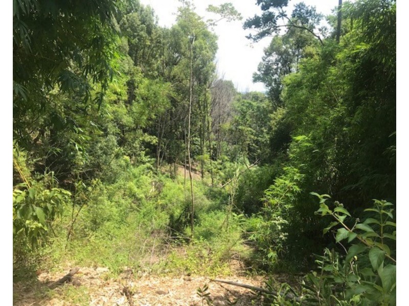 511 Whian Whian Road, Whian Whian NSW 2480