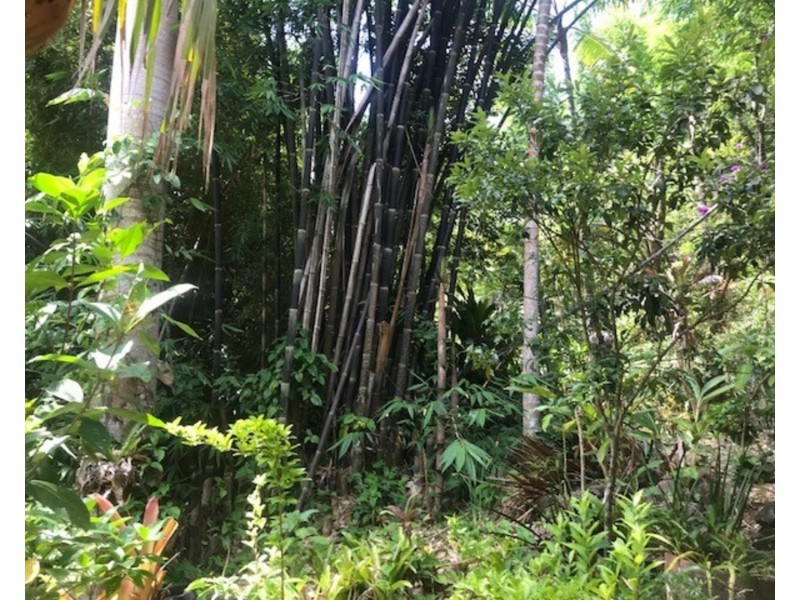 511 Whian Whian Road, Whian Whian NSW 2480