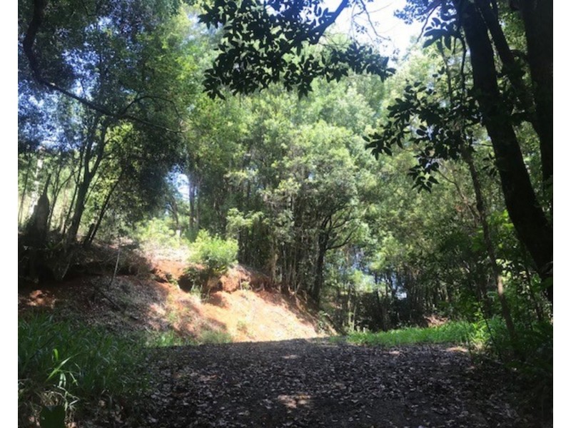 511 Whian Whian Road, Whian Whian NSW 2480