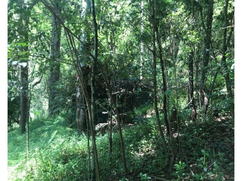 511 Whian Whian Road, Whian Whian NSW 2480