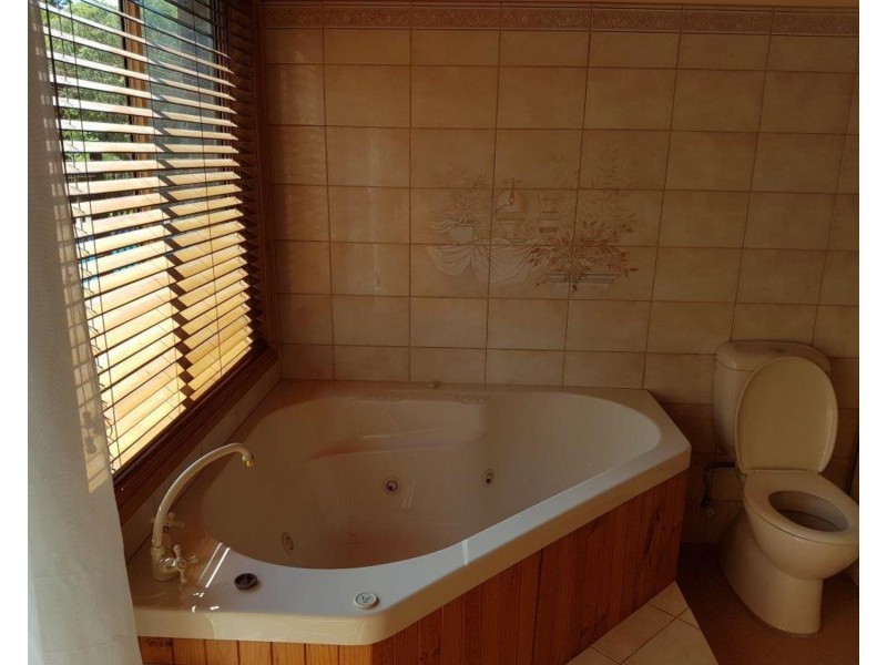 995 Dunoon Road, Modanville NSW 2480