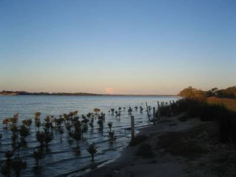 Palmers Island NSW 2463