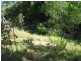 Maclean NSW 2463