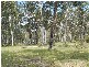 Shark Creek NSW 2463