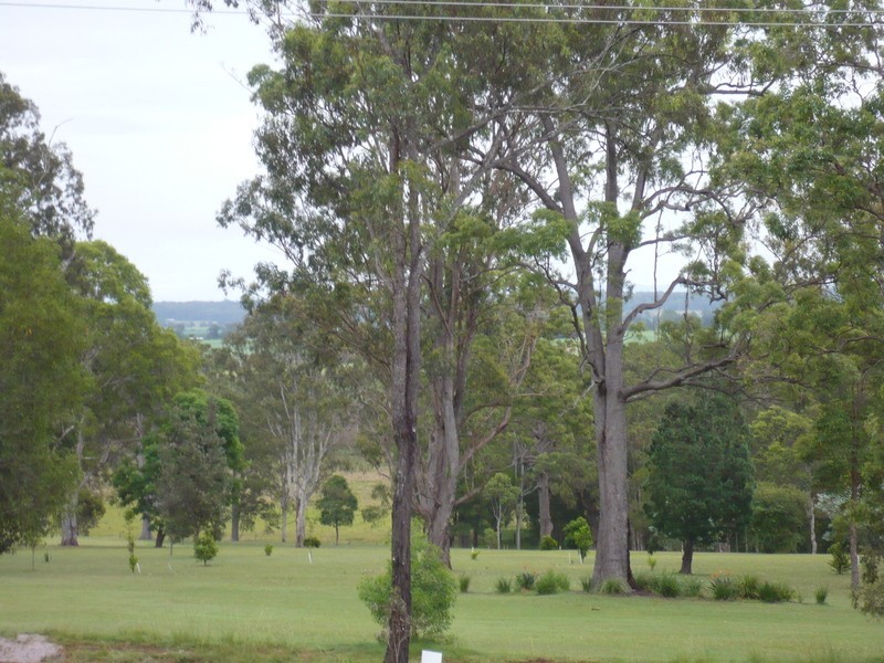 Maclean NSW 2463