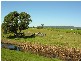 Lawrence NSW 2460