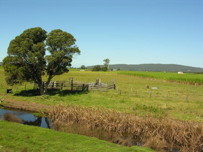 Lawrence NSW 2460