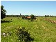 Lawrence NSW 2460