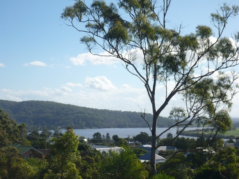 24 Clarence Street, Maclean NSW 2463