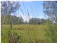 Micalo Island Road, Micalo Island NSW 2464