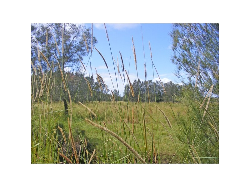 Micalo Island Road, Micalo Island NSW 2464