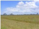 Micalo Island Road, Micalo Island NSW 2464