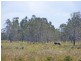 Micalo Island Road, Micalo Island NSW 2464