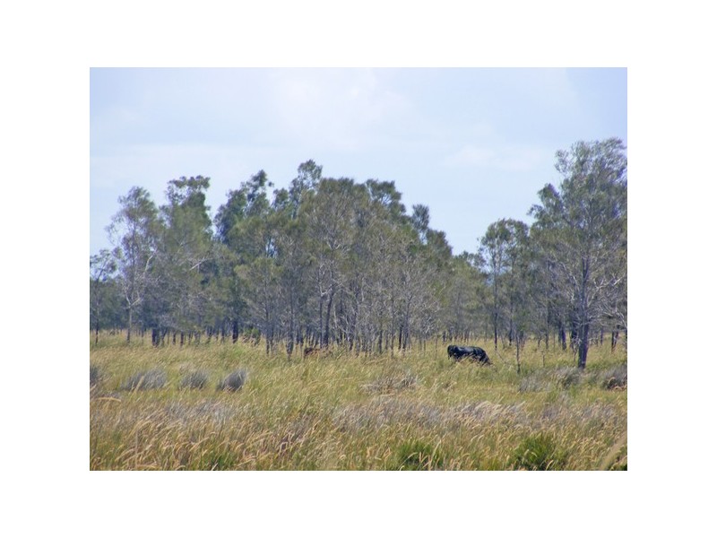 Micalo Island Road, Micalo Island NSW 2464