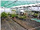 Lawrence NSW 2460