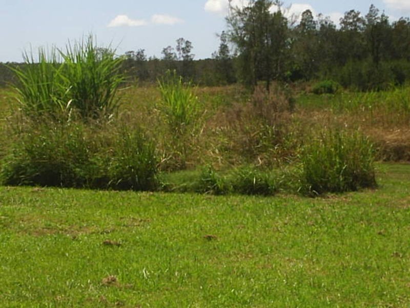 541 Shark Creek Road, Shark Creek NSW 2463