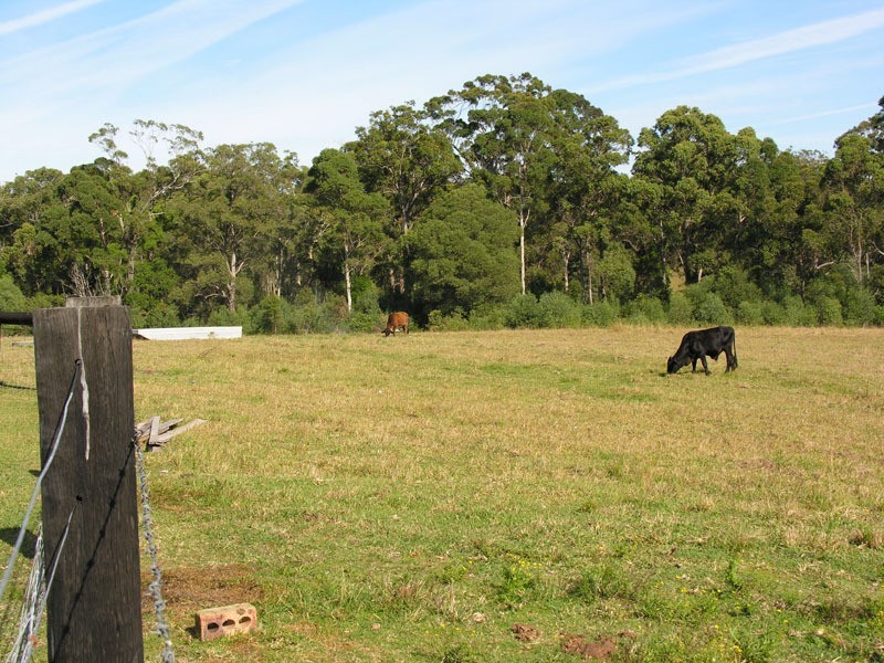 James Creek NSW 2463