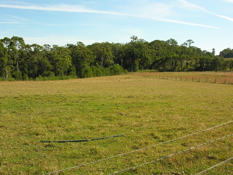 James Creek NSW 2463