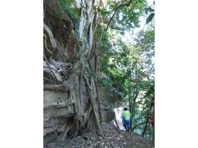 Lot 58 Ryans Gully Lane, Eatonsville NSW 2460