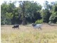 Lot 58 Ryans Gully Lane, Eatonsville NSW 2460
