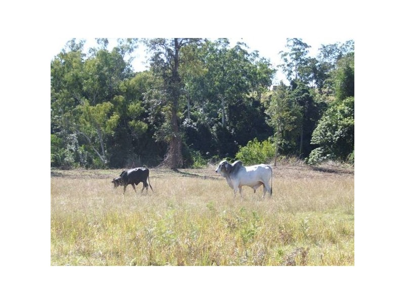 Lot 58 Ryans Gully Lane, Eatonsville NSW 2460