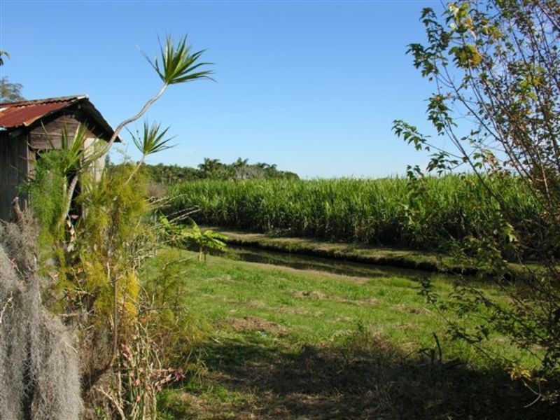 8 Morpeth Street, Harwood NSW 2465