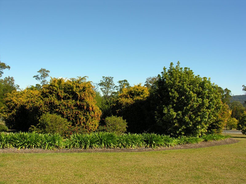 Gulmarrad NSW 2463
