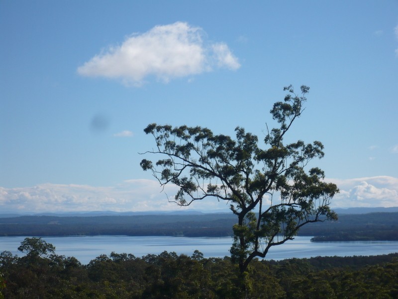 Ashby Heights NSW 2463