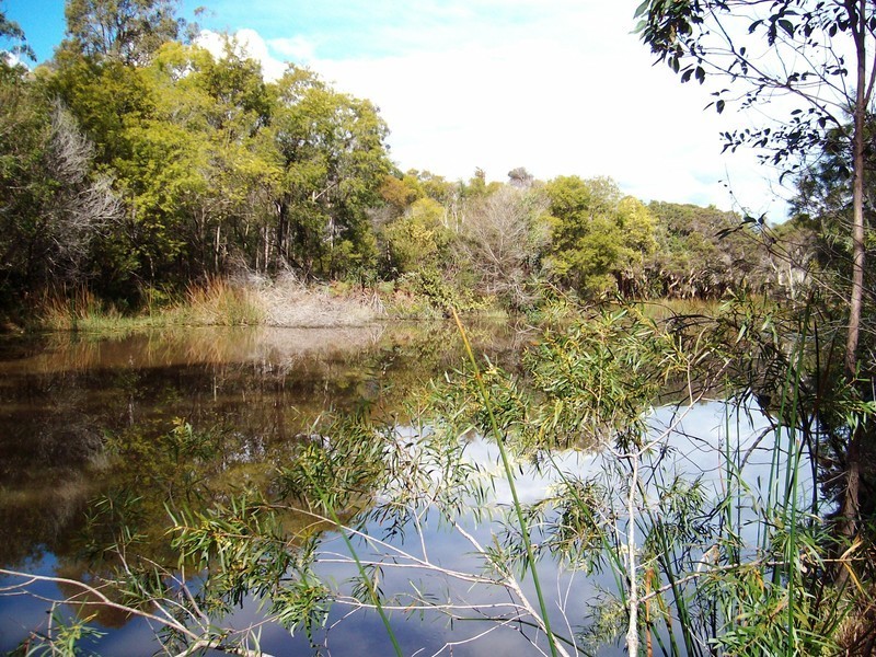 Pillar Valley NSW 2462