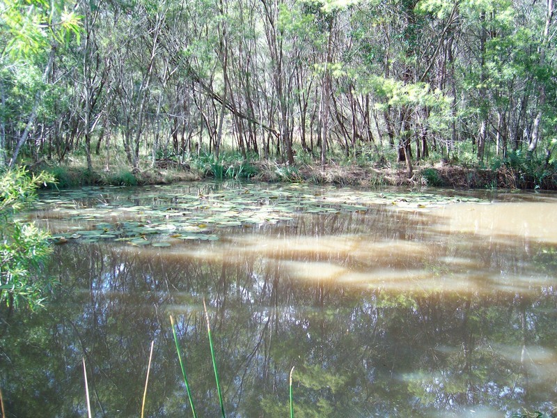 Pillar Valley NSW 2462