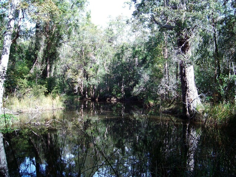 Pillar Valley NSW 2462