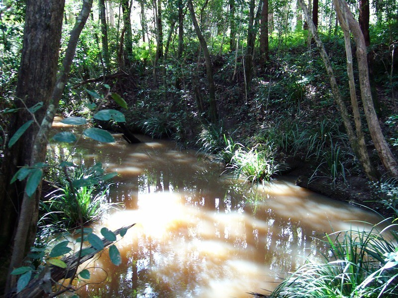 Pillar Valley NSW 2462