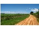Brushgrove NSW 2460