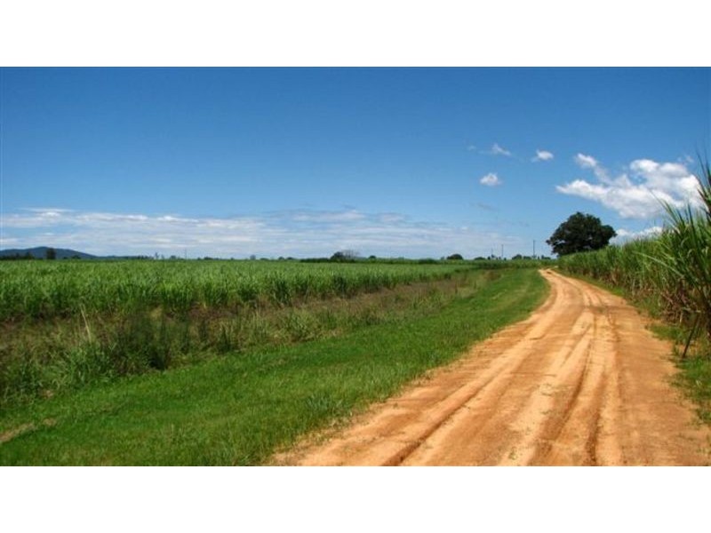 Brushgrove NSW 2460