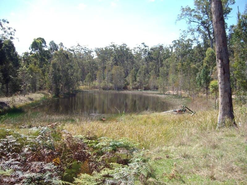 Shark Creek NSW 2463