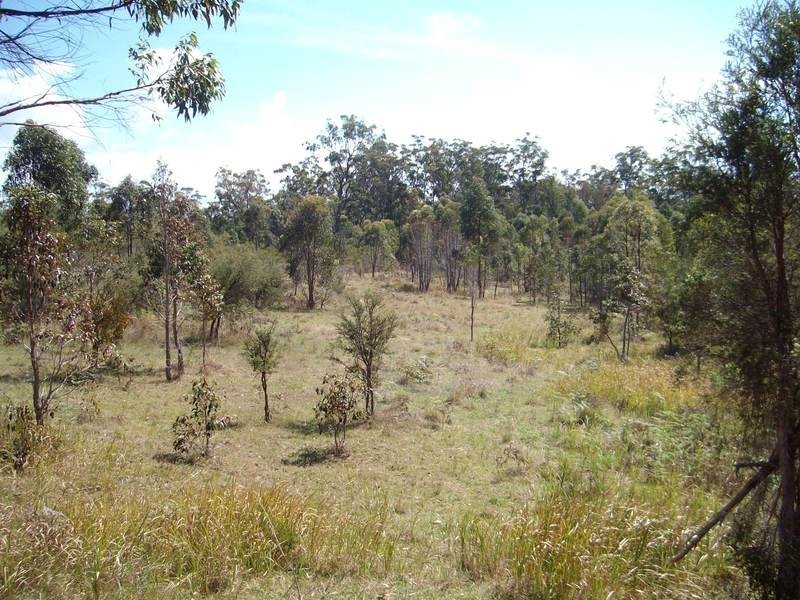 Shark Creek NSW 2463