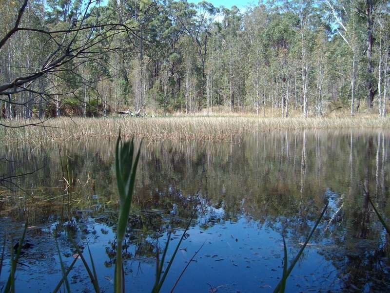 Shark Creek NSW 2463