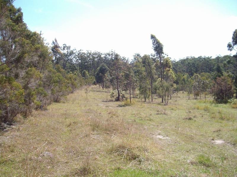 Shark Creek NSW 2463