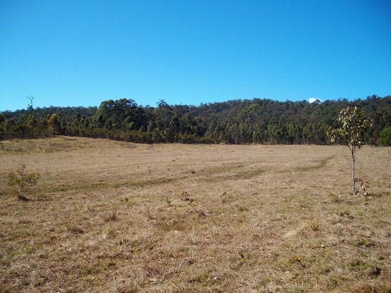 Shark Creek NSW 2463