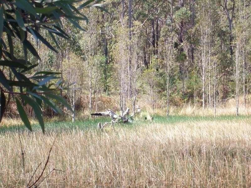 Shark Creek NSW 2463