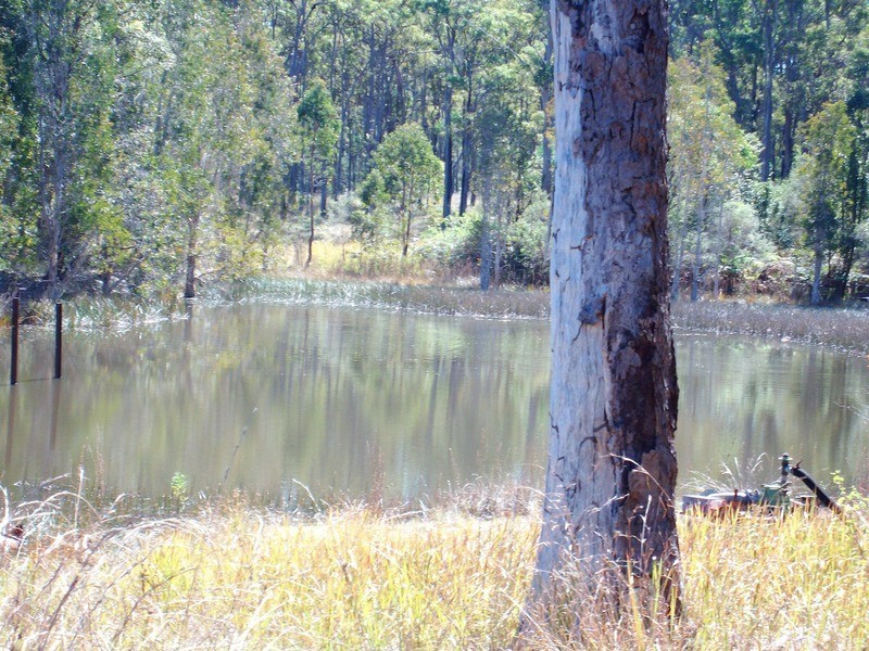 Shark Creek NSW 2463