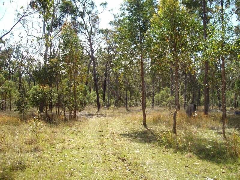 Shark Creek NSW 2463