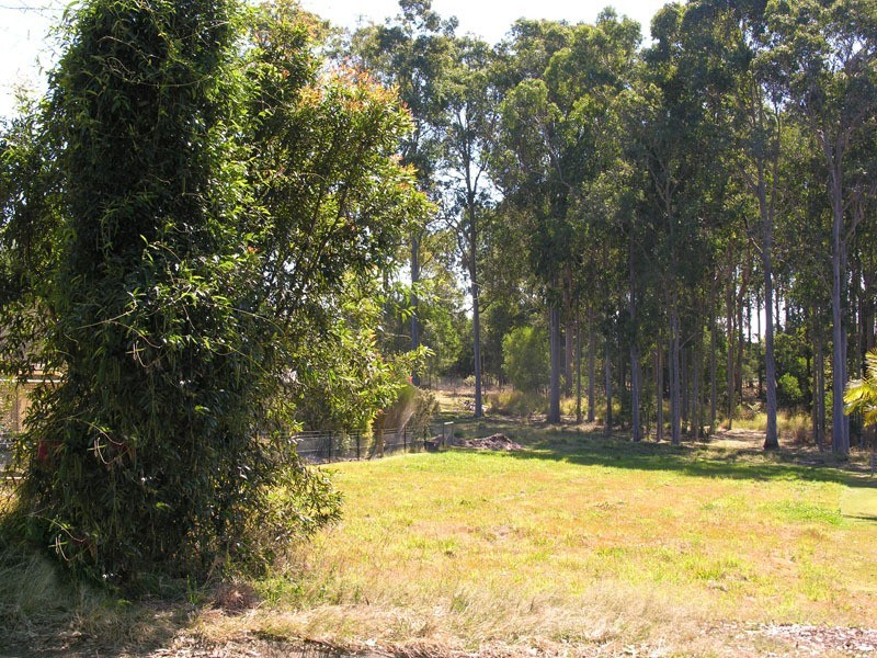 Lawrence NSW 2460