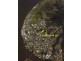 Maclean NSW 2463